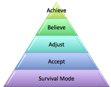 CFS Triangle of sucess